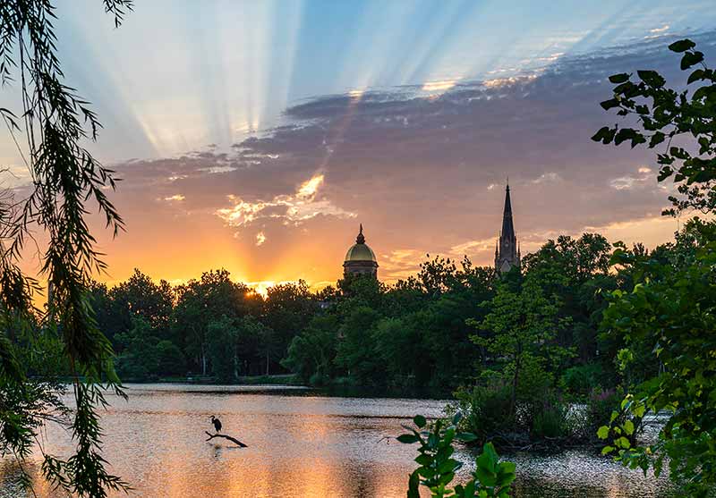 Notre Dame's Main Building and the Basilica of the Sacred Heart near a lake, surrounded by trees. Behind the sun rises and creates rays in the sky consisting of blues, purples, oranges and yellows. A blue heron perches on a fallen tree branch in the middle of the lake.