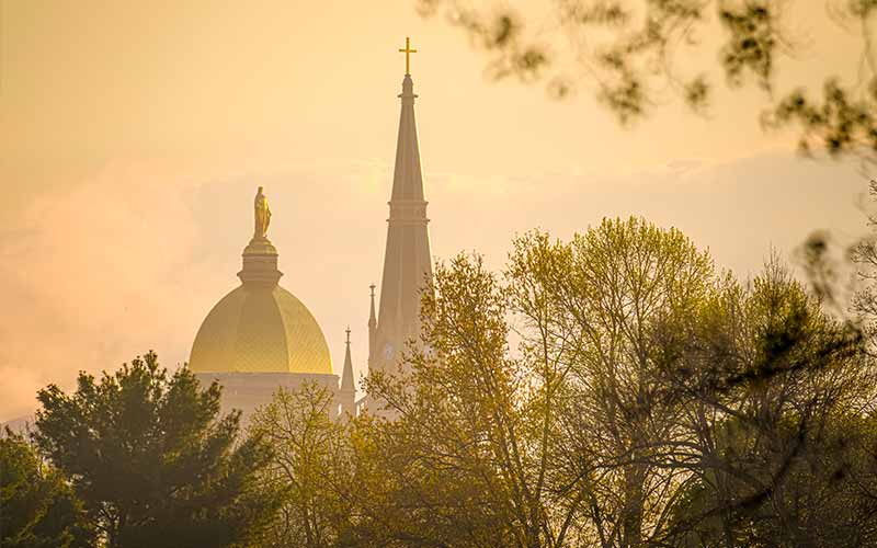 The Main Building and Basilica during golden hour. Trees are in the foreground.