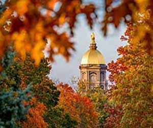 Fall leaves in front of the Golden Dome.