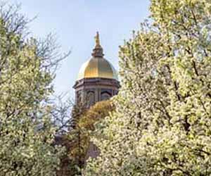 Spring flowers in front of the Golden Dome.