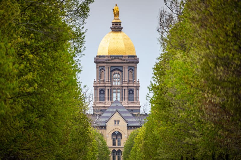 A view of the Golden Dome from between two green trees.