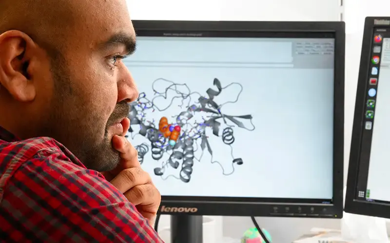 Yogesh Narkhede, a staff research scientist, looks at computer models of a protein involved in Niemann-Pick Type C.