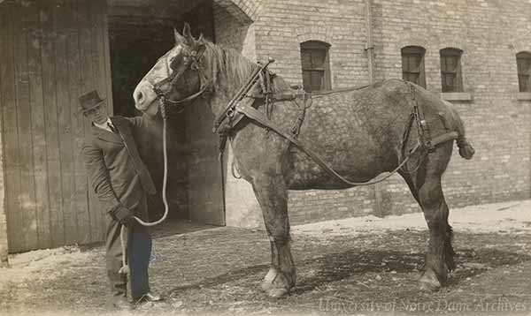 An archival photo of Brother Leo Donovan, C.S.C. next to a horse.
