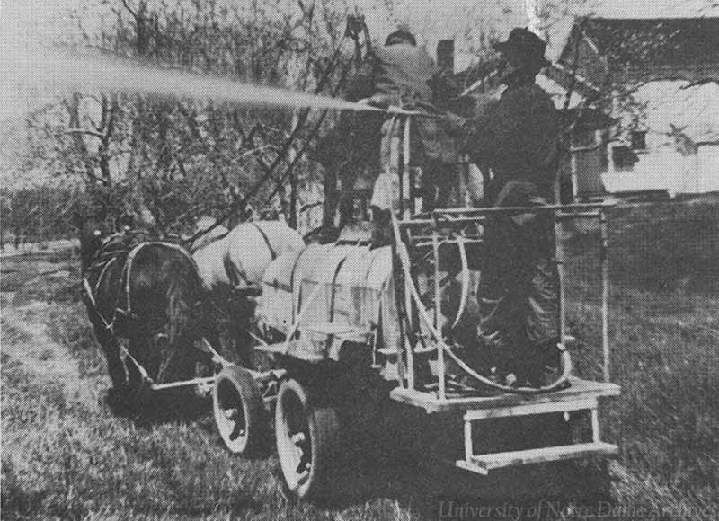 An archival photo of Brother Paulinus Walker, C.S.C. spraying water from a hose on the back of a platform being pulled by two horses.