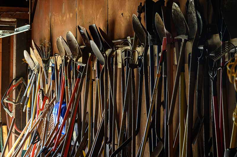 Several shovels hanging on a wall inside of a barn.