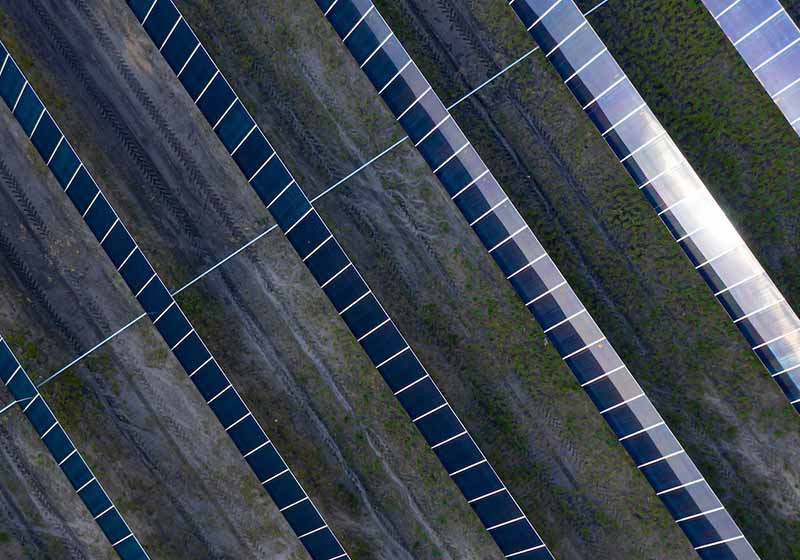 Rows of solar panels in a field.