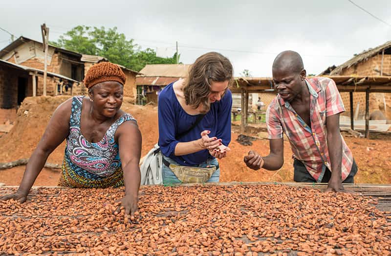Two women and man sort through cocoa beans with their hands.