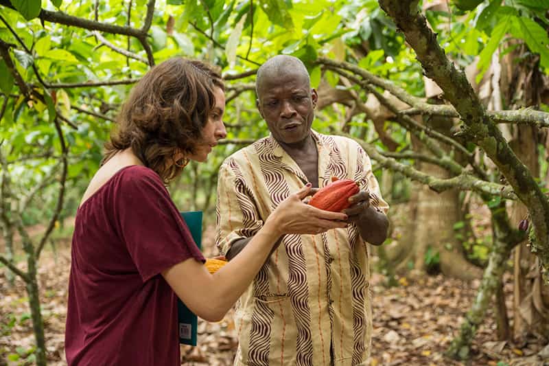 A man and a woman look at a cocoa pod.