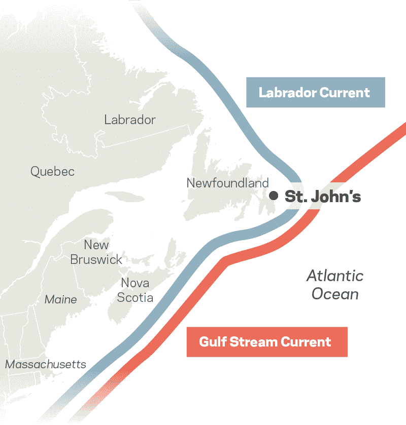 The Labrador Current runs down along the coast and meets the Gulf Stream Current at St. John's.