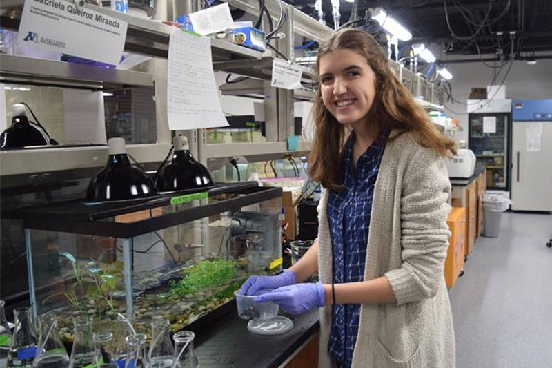 Gabriela doing sea turtle research in a high school lab
