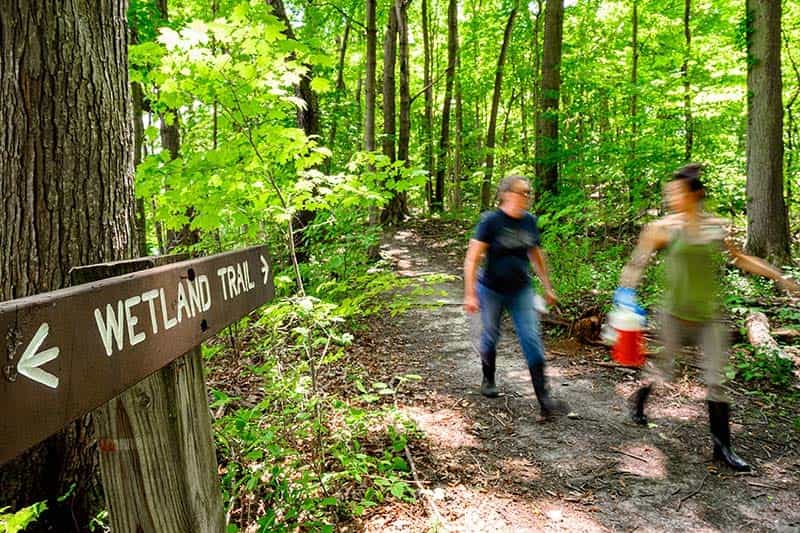 Two women, blurred, carrying mosquito trap supplies walk on a trail. A brown sign reads Wetland Trail.
