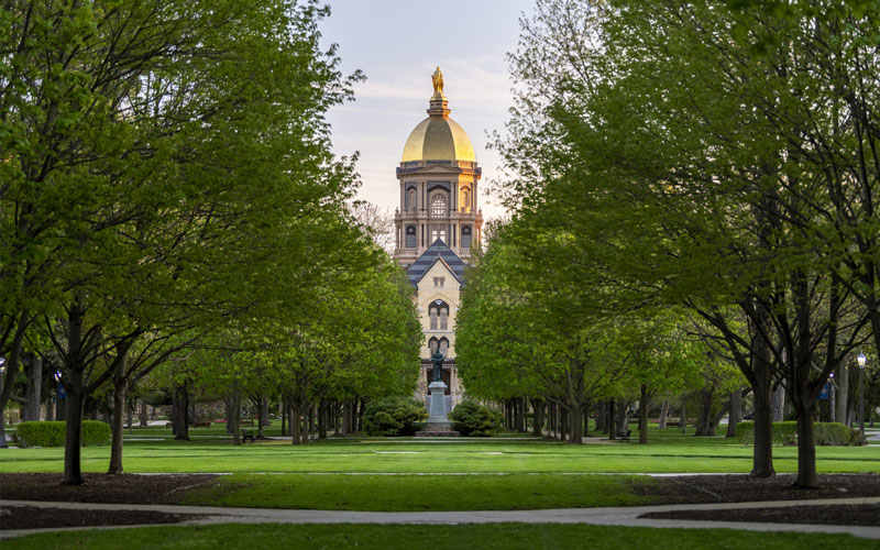 The golden dome surrounded by green trees.