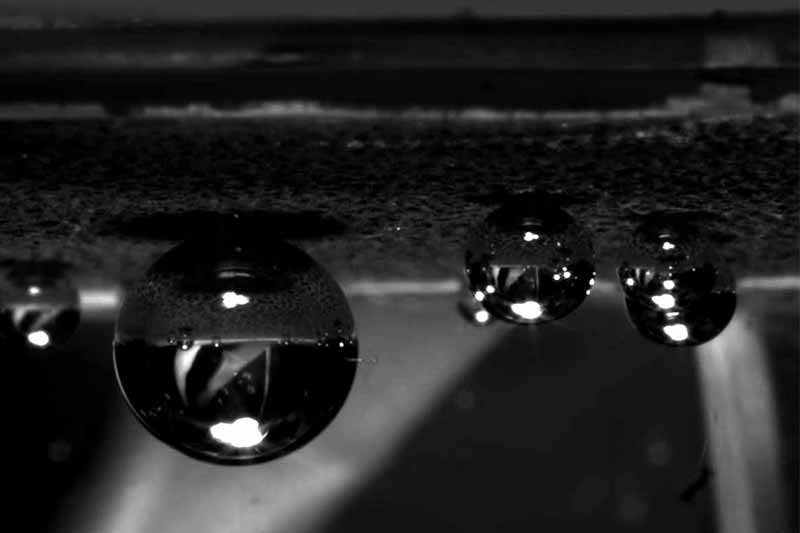Black and white photo of bubbles forming on a surface.