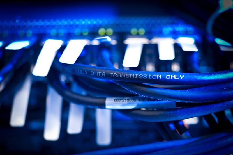 A close up of ethernet cables designed to transmit data