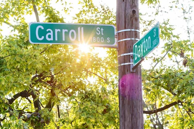 Street signs on a pole at the intersection of Carroll St and Dayton St. Sun peeks through tree in the background.