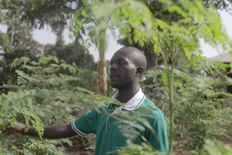 A man wearing a green BLI shirt stands between plants and speaks.