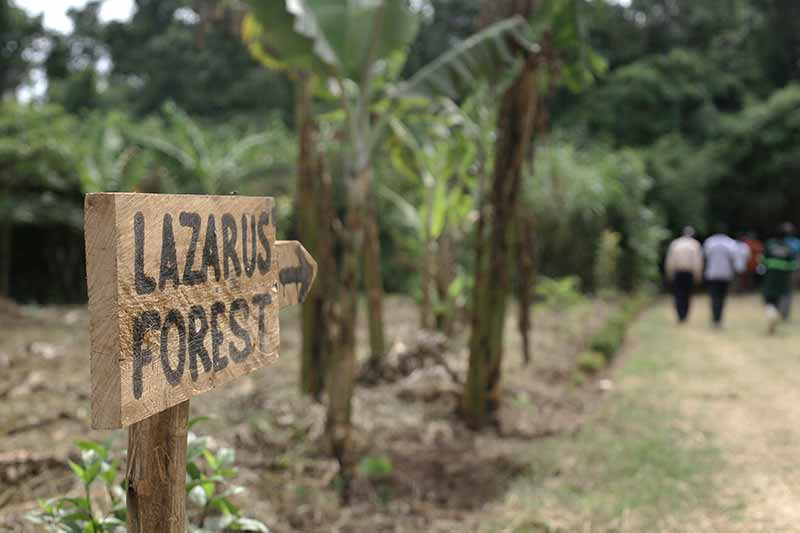 'Lazarus Forest' handwritten on a wooden sign with an arrow pointing to one direction. Blurred in the background is a small group of people walking away from the camerea.
