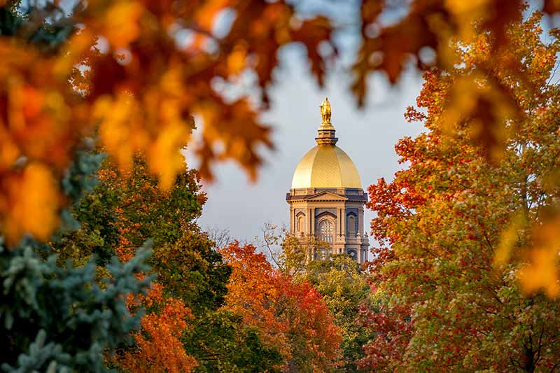 The Main Building Golden Dome surrounded by fall leaves.