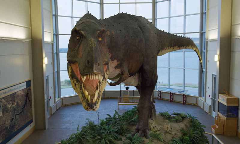 A 14-foot-tall fleshed-out Tyrannosaurus Rex model inside of a museum room.