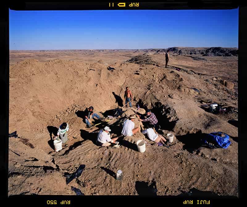 A group of eight paleontologists with buckets and tools dig and search for fossils.