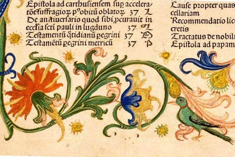 Colorful illustration in the margin of a medieval manuscript of flowers and a bird.