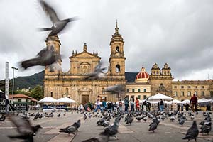 National Cathedral and Bolivar Plaza in Bogota, Colombia with birds flying.