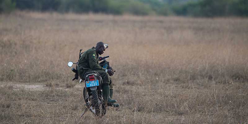 A park ranger sits on his motorcycle in Queen Elizabeth National Park.