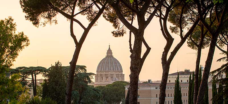 Whimsical shaped trees stand in the foreground, the Vatican is in the background.