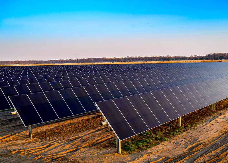 Rows of solar panels line a field. The sky is clear of clouds and bright blue.