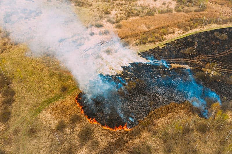 Dry grass burns during drought and hot weather. A bush fire and smoke in a meadow field.