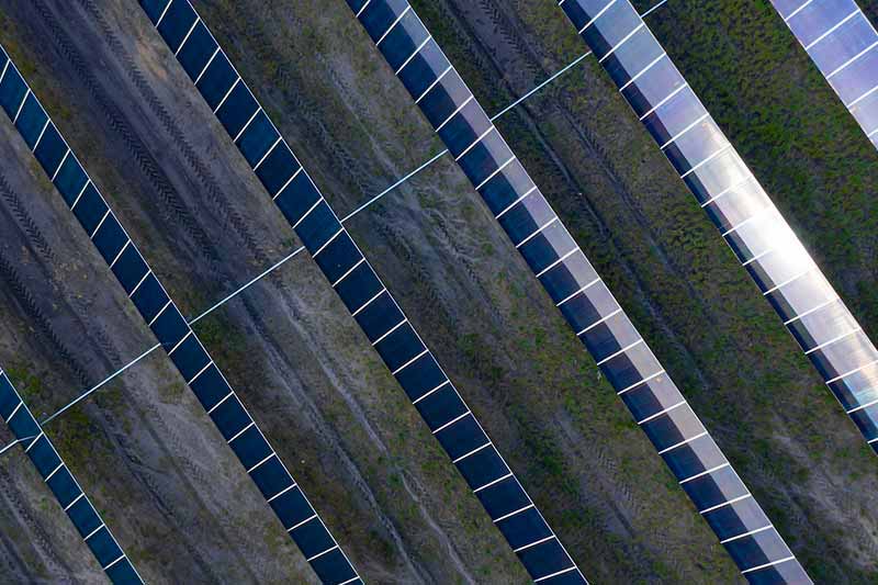 Rows of solar panels in a field.
