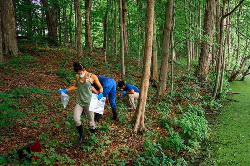 Two people walk a wooded trail carrying mosquito trap supplies.