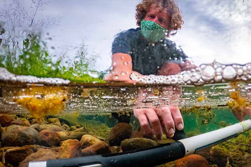 A man sticks his hand in a pond at St. Patrrick's Country Park checking an instrument in the water. Half of the shot is under water.